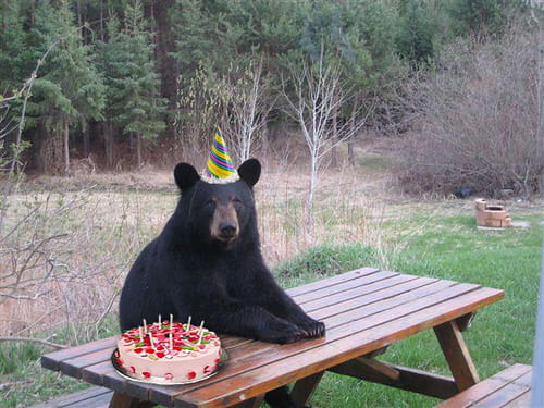 Joyeux Anniversaire Cafe Des Copains